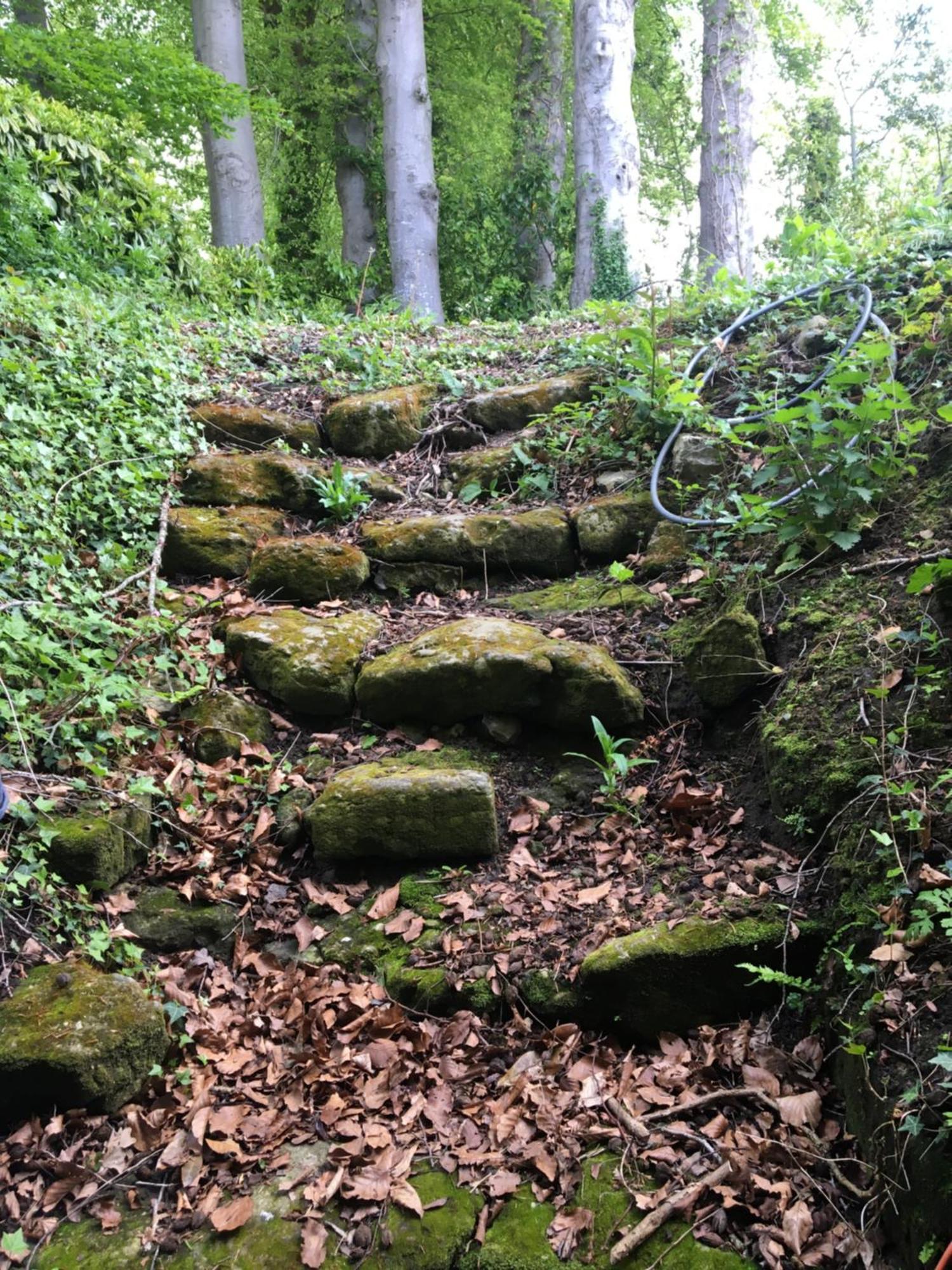 Le Clos Du Val A Loup Bénarville Buitenkant foto
