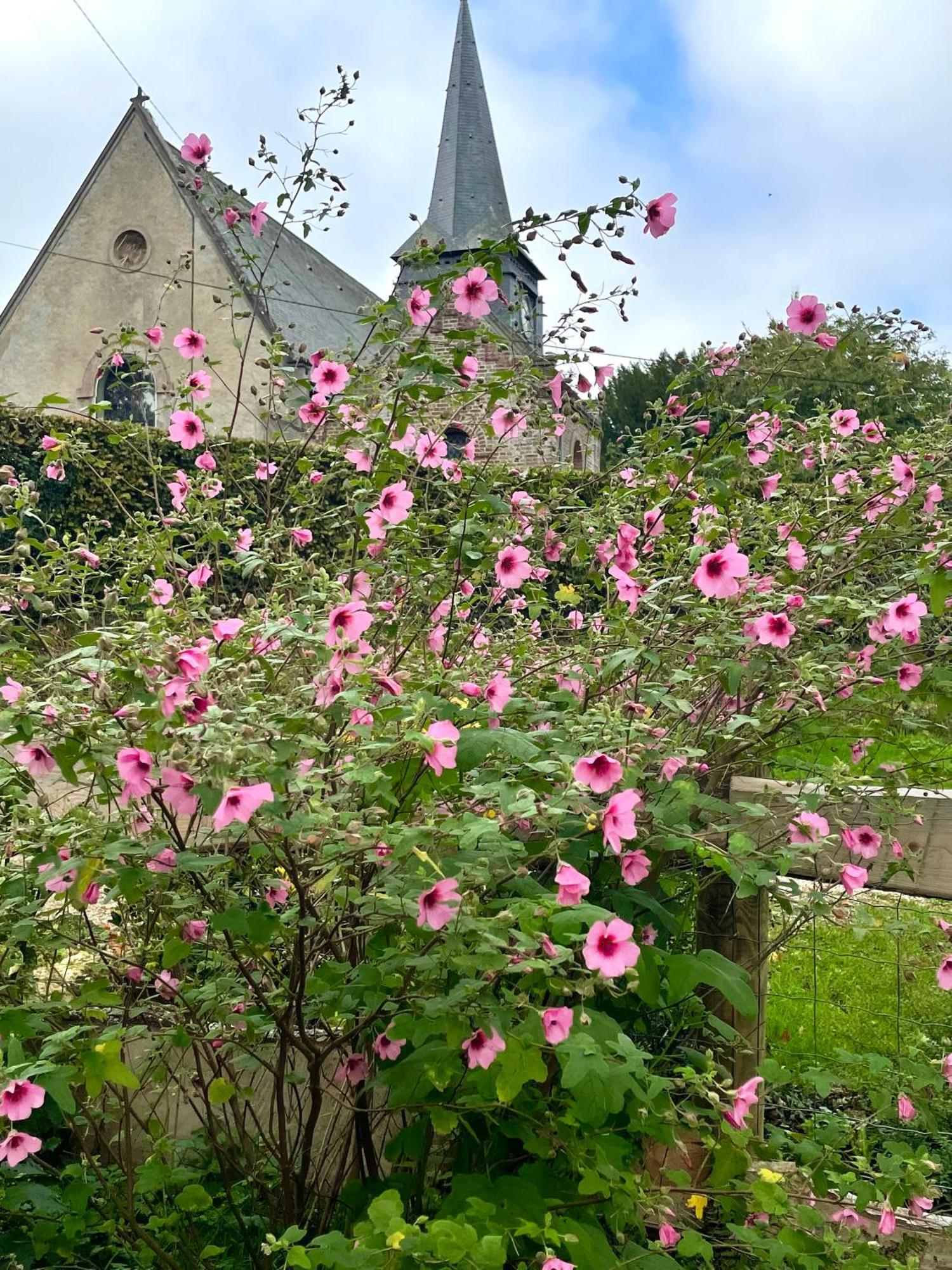 Le Clos Du Val A Loup Bénarville Buitenkant foto