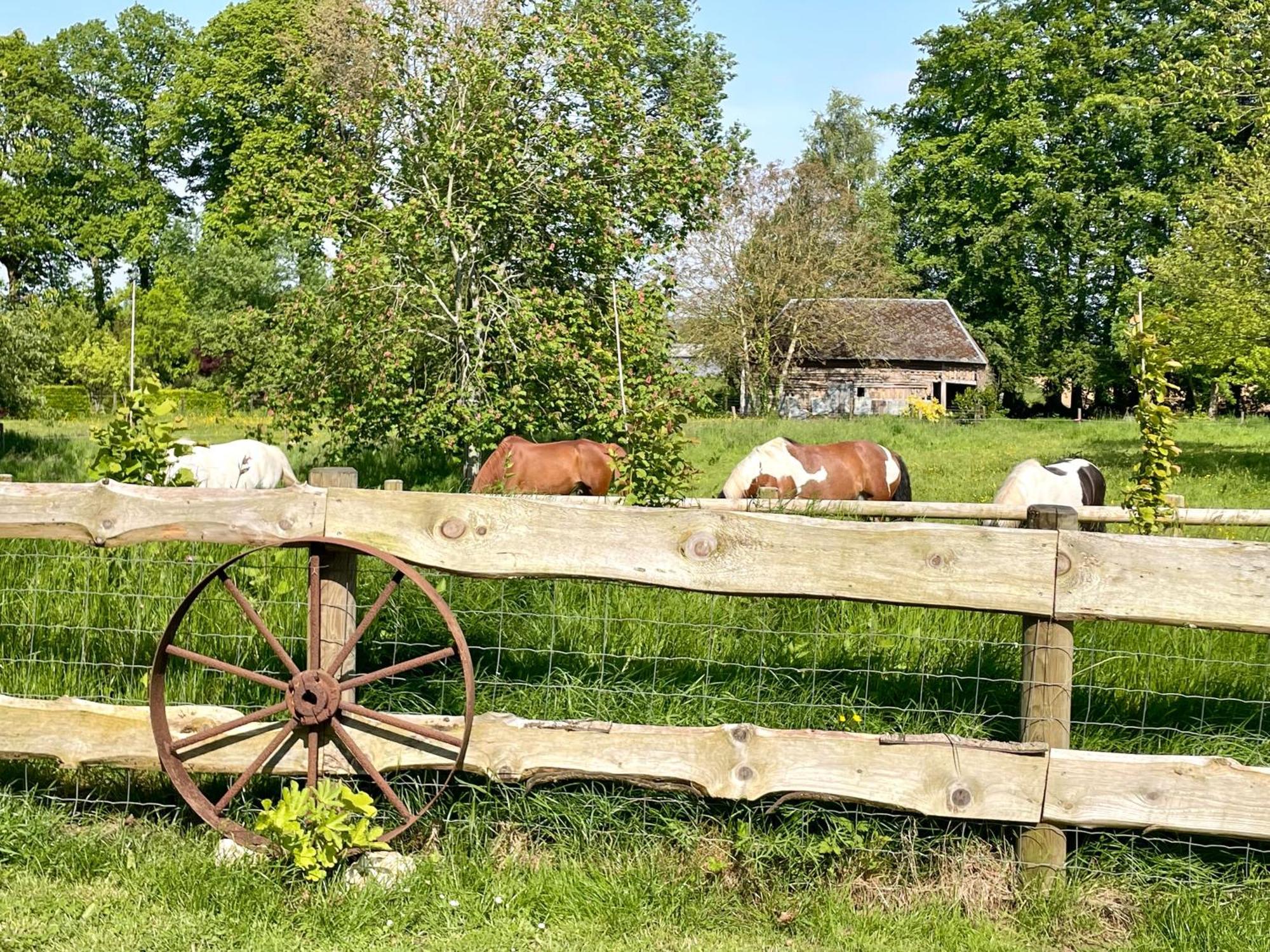 Le Clos Du Val A Loup Bénarville Buitenkant foto